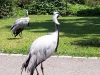 100_5892.jpg